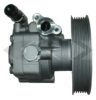 SPIDAN 54441 Hydraulic Pump, steering system